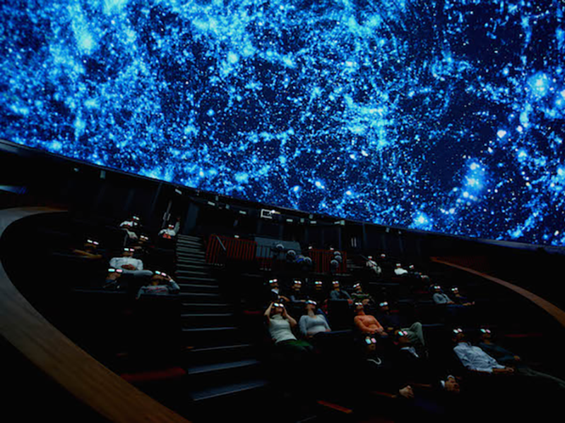 〈WHAT（ワット）〉