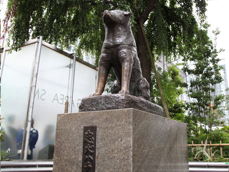 しながわ水族館