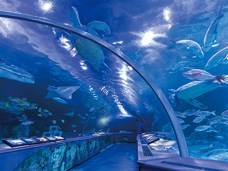 しながわ水族館