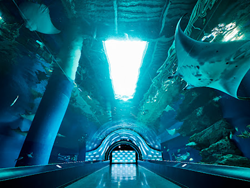 アクアパーク品川