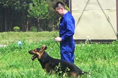警察犬とハンドラー