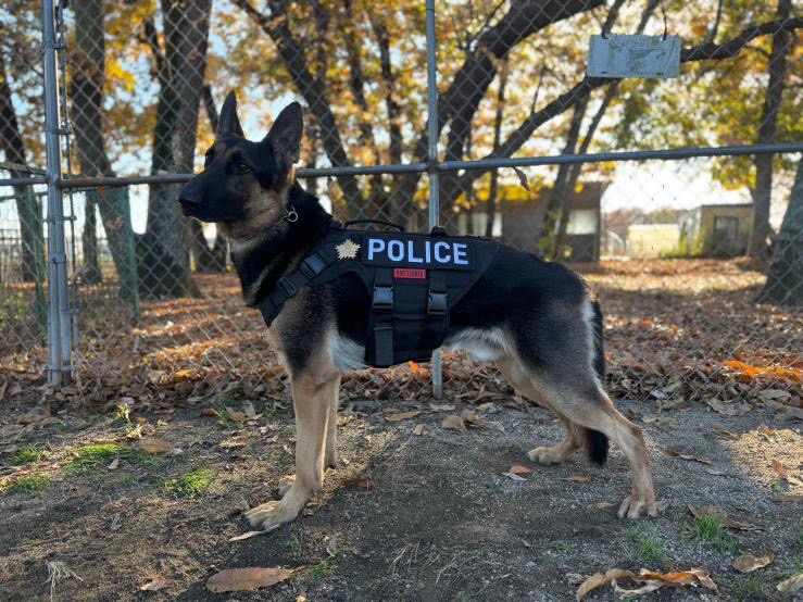 警察犬こうすけ