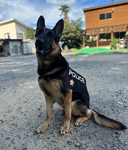 警察犬こうすけ